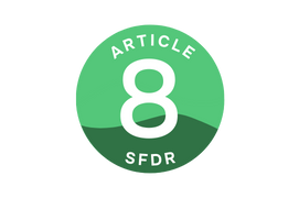 article-8-sfdr